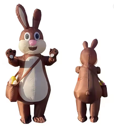 Inflatable Icons
