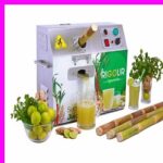 Sugarcane (S)